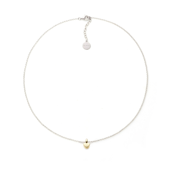 Bicolor silver necklace with heart pendant