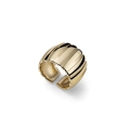 Anello a fascia dorato